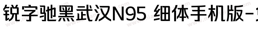 锐字驰黑武汉N95 细体手机版字体转换